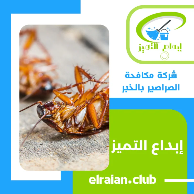 شركة مكافحة الصراصير بالخبر